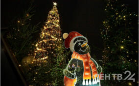 В Ленобласти пройдет благотворительная акция «Новый год для СВОих»