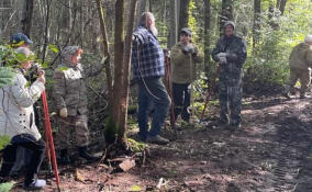Прокуратура заставила ликвидировать нелегальную свалку в лесу под Сланцами