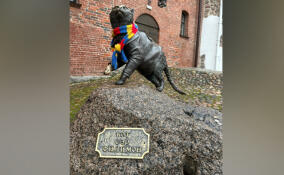 В Выборге установят именную табличку на памятнике коту Филимону