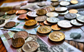 В Ленобласти прожиточный минимум увеличили почти на 7%