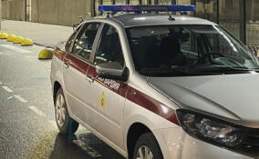 Уроженка Тосно попалась на кражах в Псковской области и Петербурге