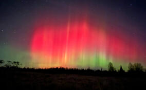 Огненное северное сияние окрасило небо над Ленобластью