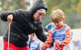 В Ленобласти с 2026 года запустят программу «Земский тренер»