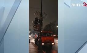 Главную новогоднюю ель Петербурга установят на Дворцовой площади к 20 декабря