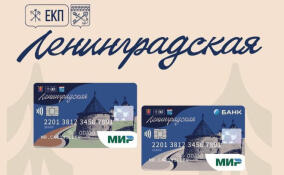 Жители Ленобласти продолжают активно оформлять ЕКП «Ленинградская»