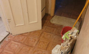 Прокуратура проверит условия жизни ветерана ВОВ после потопа в квартире