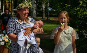 В Ленобласти будут праздновать День многодетной семьи