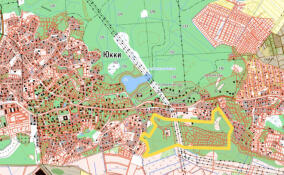 Прокуратура добивается возвращения 150 га леса в собственность государства