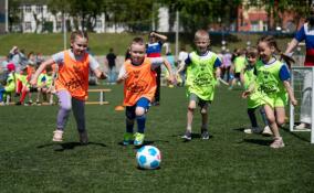 Плавание, бег и футбол: о спортивных выходных в Ленобласти