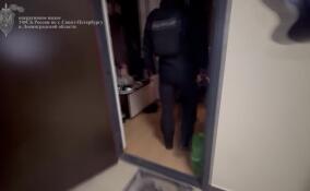 Выходцы из стран Центральной Азии под видом полицейских нападали на петербуржцев