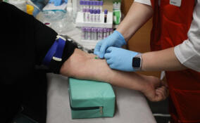 В Петербурге стартовала программа раннего выявления диабета 1-го типа