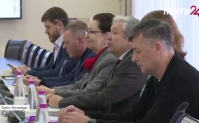 В совете представителей НКО при Заксобрании Ленобласти обсудили методы реализации социальных проектов
