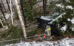 На Староприозерском шоссе легковушка вылетела в кювет