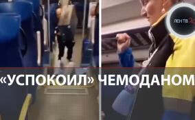 Поляк чемоданом обезвредил агрессивную безбилетницу с ножом в поезде