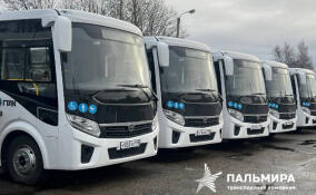 45 новых автобусов начнут курсировать в пяти районах Ленобласти