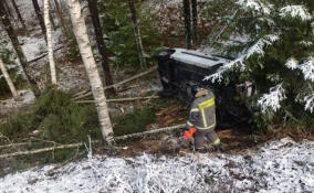 За сутки спасатели Ленобласти справились с тремя сложными вызовами
