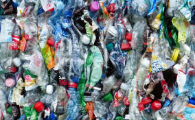 Тихвин станет пилотной площадкой для экотехнопарка будущего