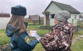 Предупредить, а не тушить: сотрудники МЧС Кингисеппского района проинспектировали частные дома