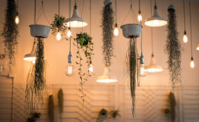 Энергетический коллапс в Сосновом Бору: 10 тысяч человек остались без света