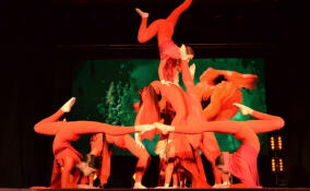 Искры «Гротеска»: в Гатчине прошел феерический карнавал моды и таланта