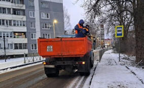 В Тосно стартовала зимняя кампания по борьбе с гололедом