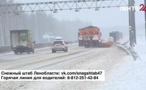 В Ленобласти заработал Снежный штаб