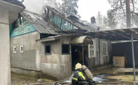 Во Всеволожске сгорел частный дом