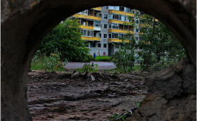 Пешеходную дорожку обустроят в Ушаках до 1 июля 2026 года