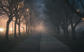 Следователи заинтересовались небезопасной дорогой в Сосново