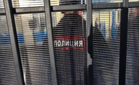 В Выборге задержали домушника, ограбившего частный дом