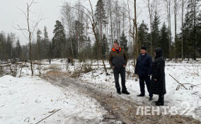 Во Всеволожском районе готовят новые участки для многодетных семей