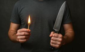 Во Всеволожском районе мужчина предстанет перед судом за убийство и поджог