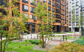 Более 12 тысяч растений высадили во Всеволожске и Лаголово