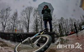 До -7 ночью и до -5 днем: прогноз погоды в Ленобласти на 19 ноября