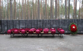 Останки 90 бойцов Красной армии перезахоронили в Кировском районе