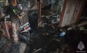 Неисправный обогреватель стал причиной пожара в Ленобласти