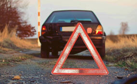 В Каменногорске пенсионерка погибла под колёсами машины