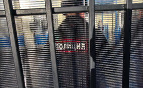 В Гостилицах задержали подозреваемую в серии мошенничеств на десятки миллионов рублей