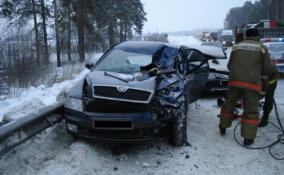 Спасатели Ленинградской области отчитались о 12 выездах за сутки