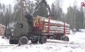 Во Всеволожском районе готовят земельные участки для многодетных семей