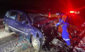 На дороге у Ульяновки столкнулись две легковушки