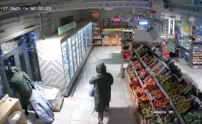 В Ленобласти серийных воров-налётчиков поймали на месте преступления