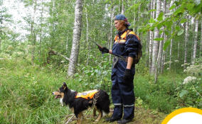 «Экстремум» и Дирекция ООПТ Ленобласти подписали соглашение о сотрудничестве