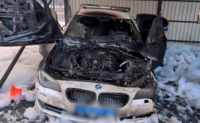 По факту поджога патрульного автомобиля в центре Петербурга возбуждено дело о теракте