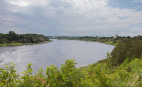 У памятника природы «Староладожский» появилась охранная зона
