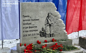 В Тосненском районе открыт мемориал жертвам оккупации «Ветер войны»