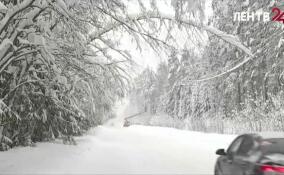 Эта зима станет самой холодной в России за последние 250 лет