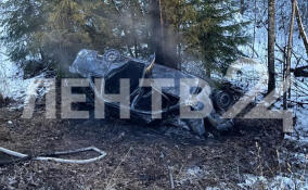 ДТП у Подпорожья унесло жизнь водителя легковушки