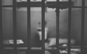 Жительницу Петербурга отправили в СИЗО за поджог базовых станций сотового оператора в Колпино и Шушарах