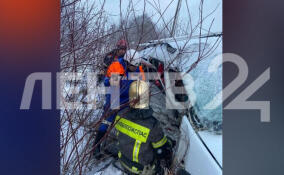 В ДТП под Кировском пострадали трое детей и взрослый